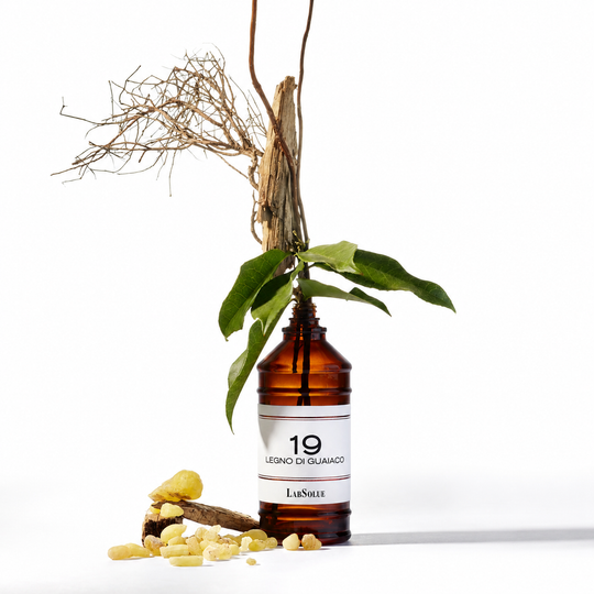 19 Legno di Guaiaco(レーニョ・ディ・グアイアコ) オーデパルファム 120mL
