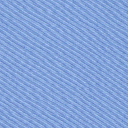 【干場義雅×DRESSTERIOR】シドグラスシャツ サックス