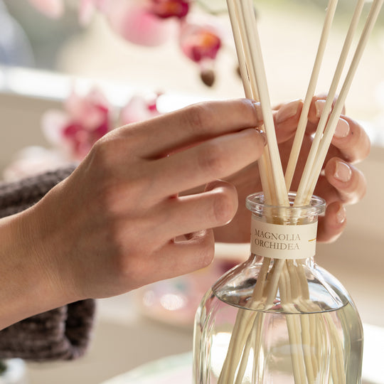 MAGNOLIA ORCHIDEA〈マニョリア・オルキデア〉250ml
