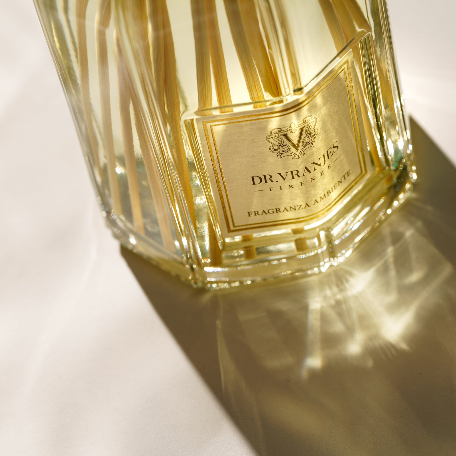 GINGER LIME〈ジンジャー・ライム〉500ml – MINIMAL WARDROBE