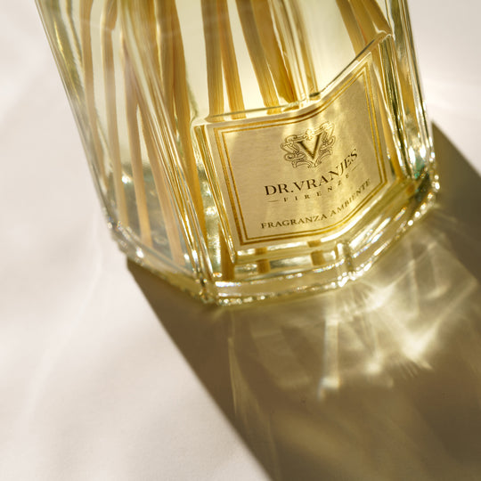 GINGER LIME〈ジンジャー・ライム〉500ml