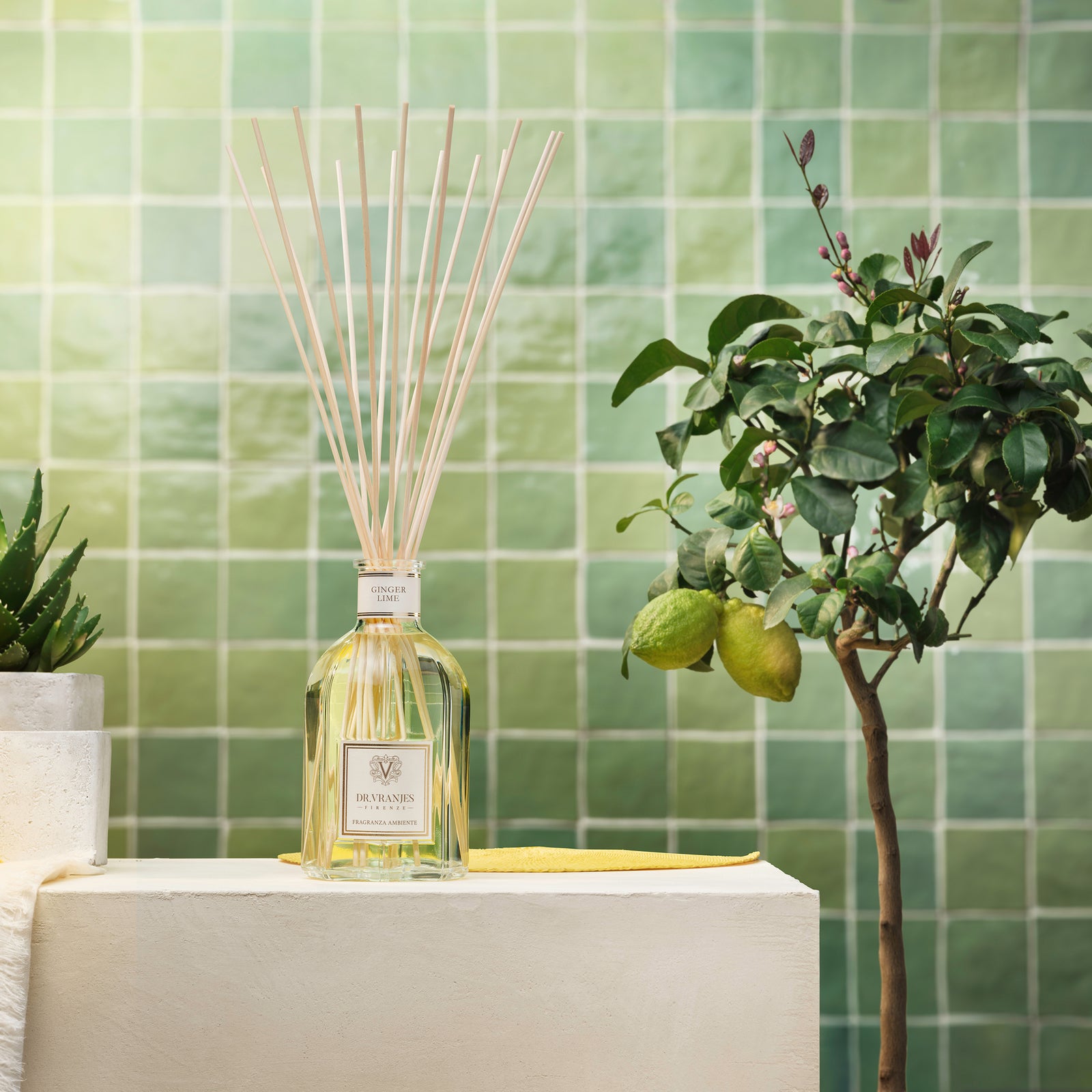 GINGER LIME〈ジンジャー・ライム〉500ml – MINIMAL WARDROBE