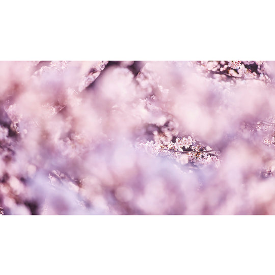 境界(boundary)_H