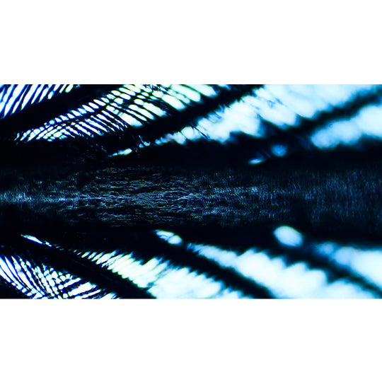 境界(boundary)_J'