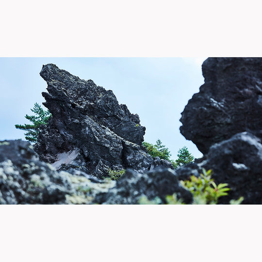 境界(boundary)_M